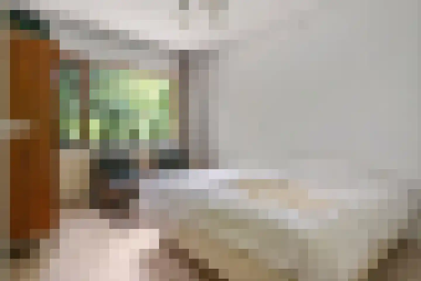 Zoetenhoek 2 b Deil thumbnail 15