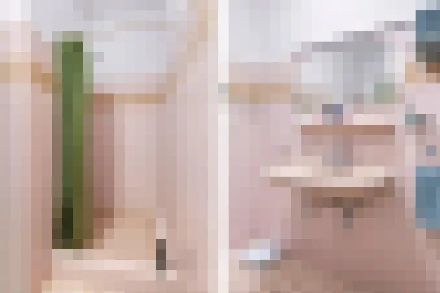 Zoetenhoek 2 b Deil thumbnail 18
