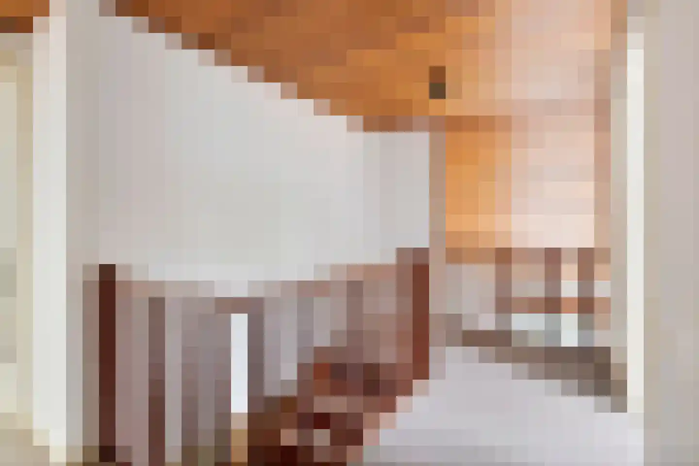 Zoetenhoek 2 b Deil thumbnail 20