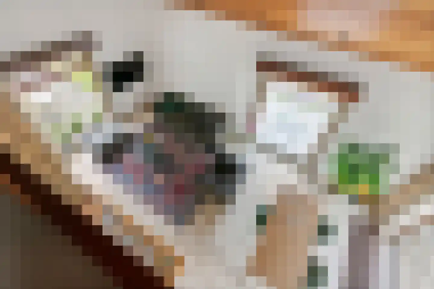 Zoetenhoek 2 b Deil thumbnail 22