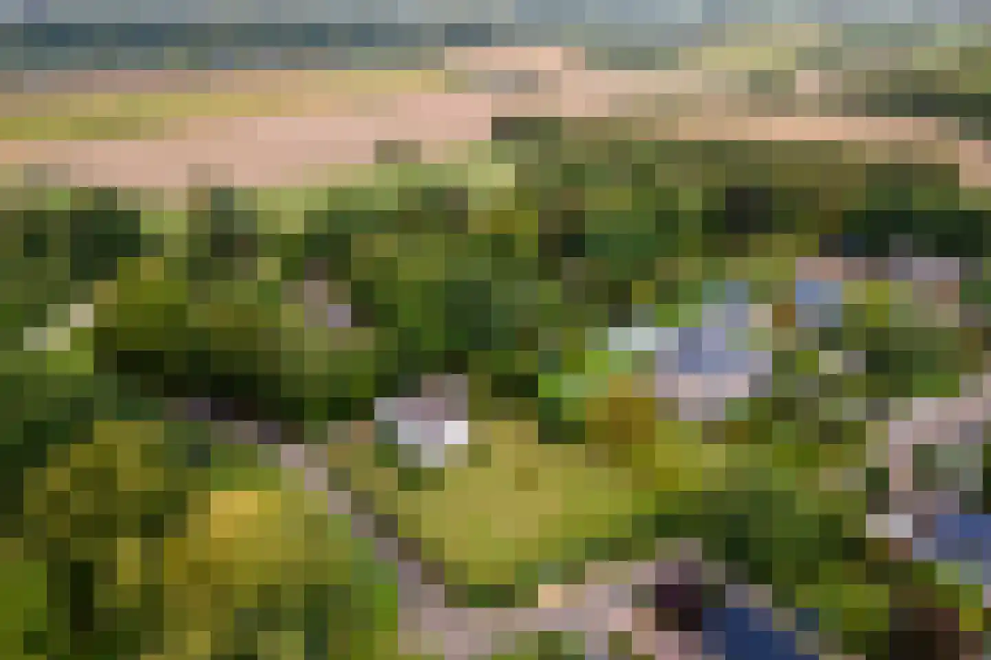 Zoetenhoek 2 b Deil thumbnail 30