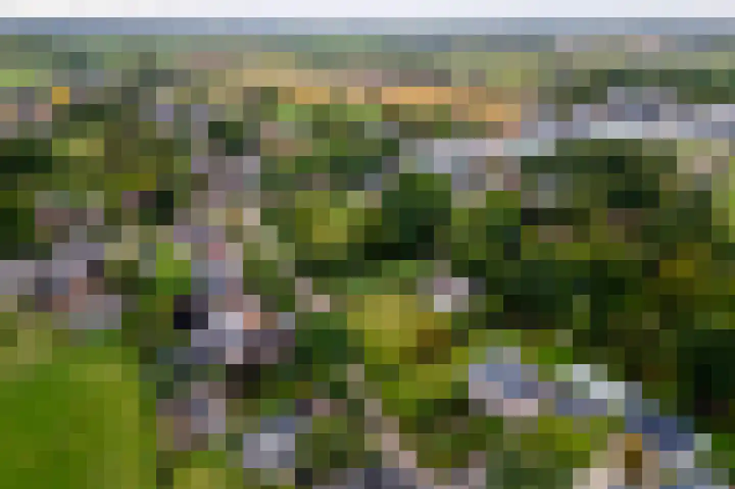 Zoetenhoek 2 b Deil thumbnail 31