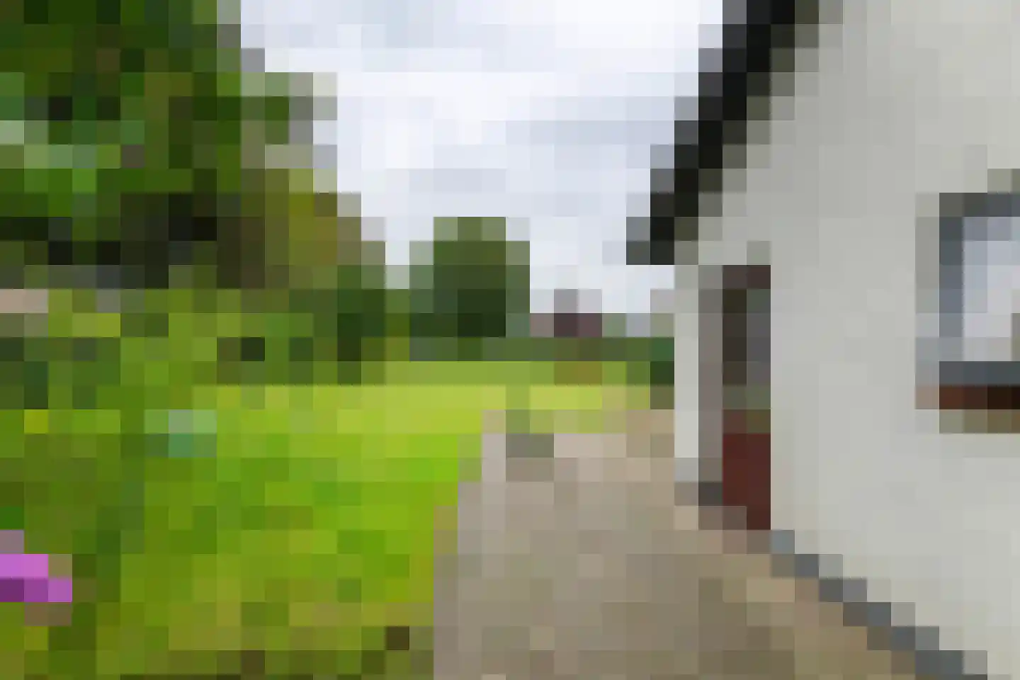 Zoetenhoek 2 b Deil thumbnail 34