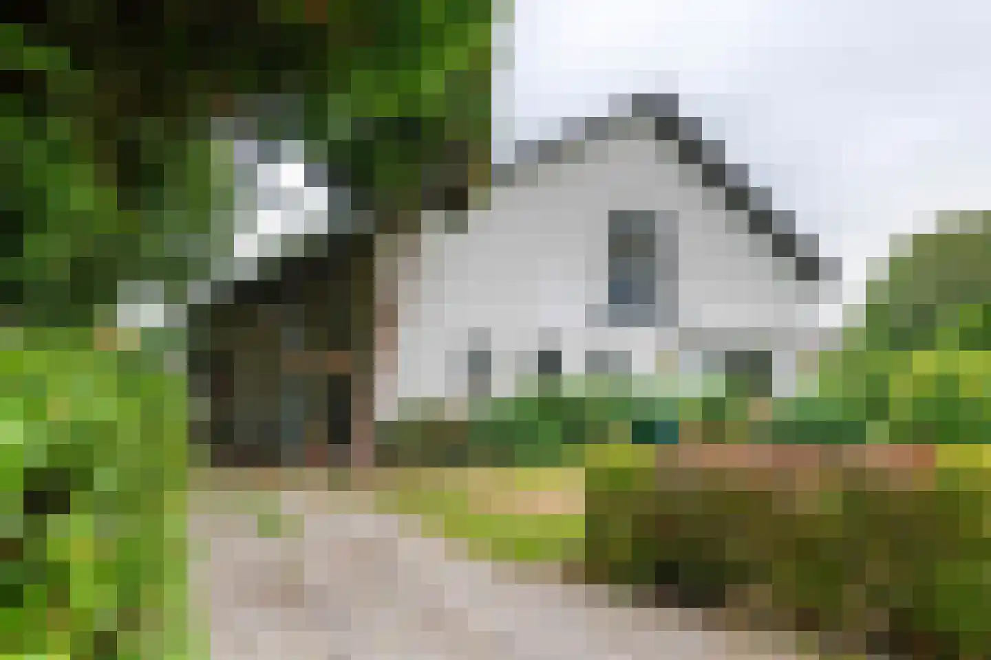 Zoetenhoek 2 b Deil thumbnail 4