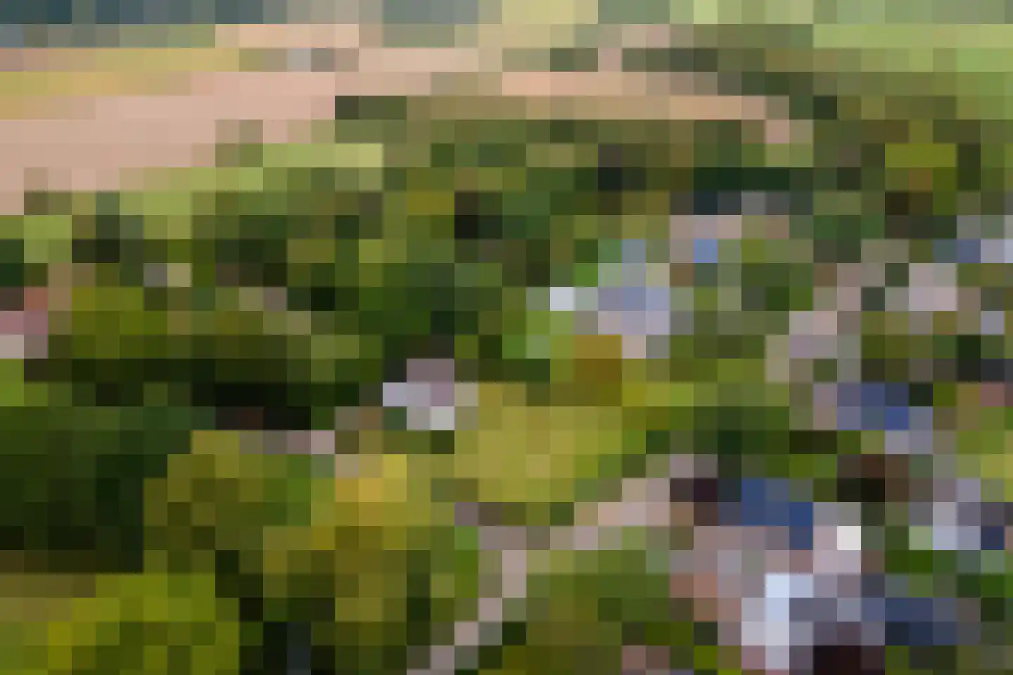 Zoetenhoek 2 b Deil thumbnail 40