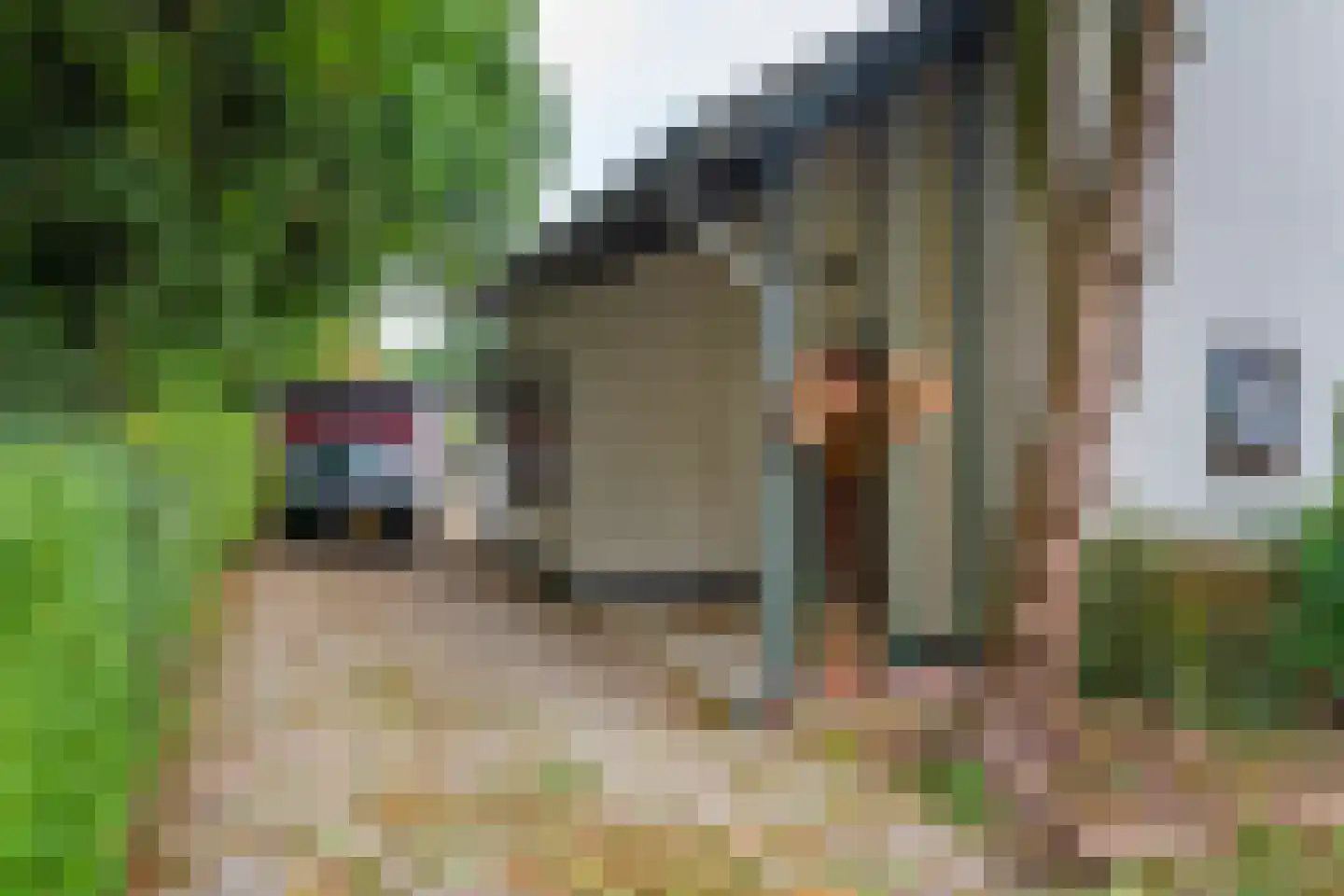 Zoetenhoek 2 b Deil thumbnail 5