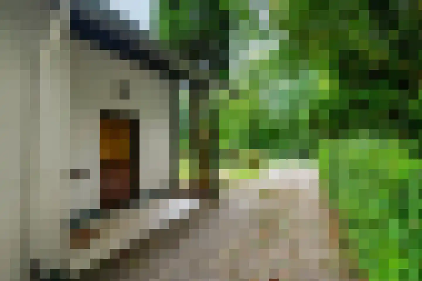 Zoetenhoek 2 b Deil thumbnail 6