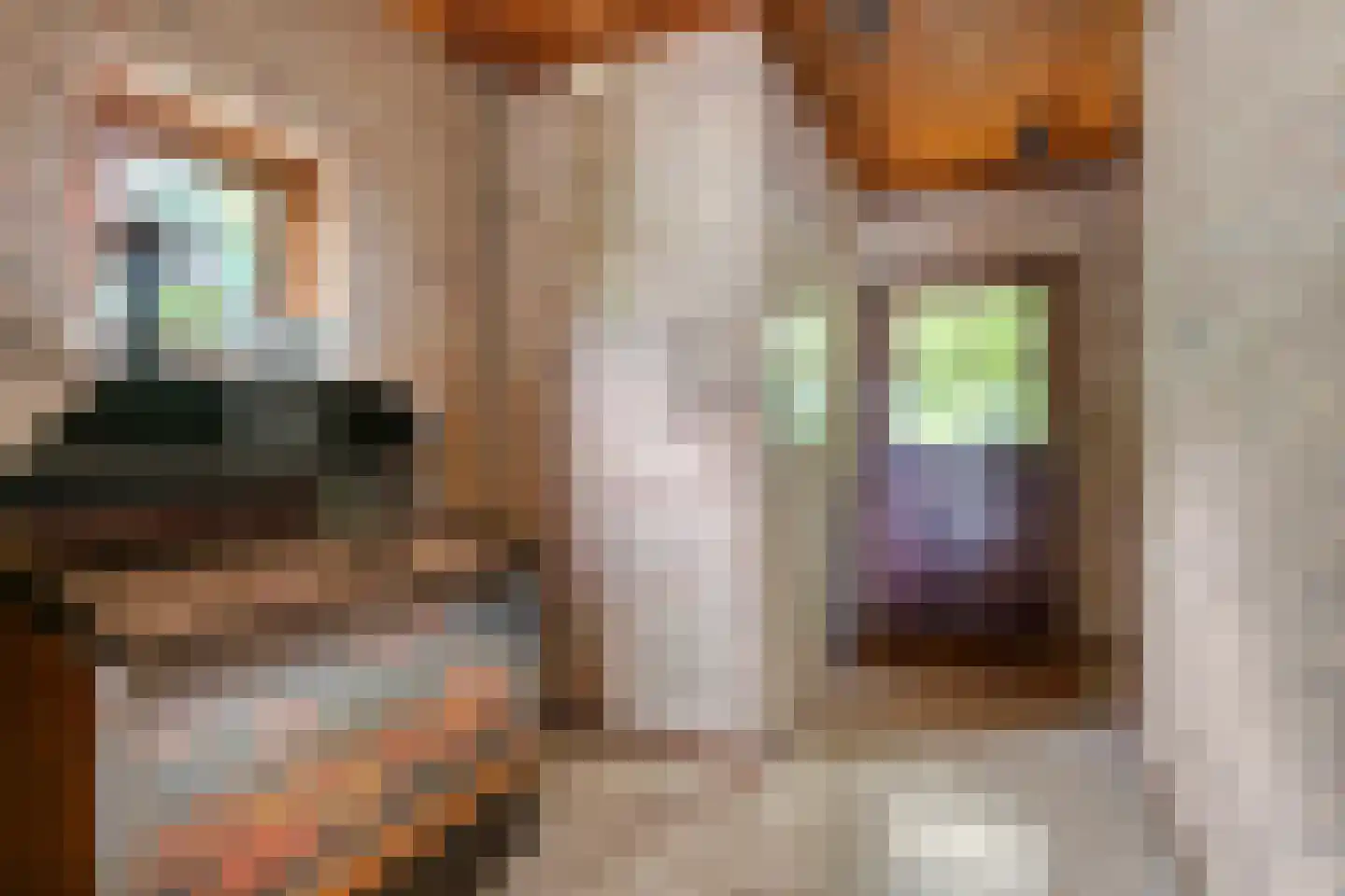 Zoetenhoek 2 b Deil thumbnail 7