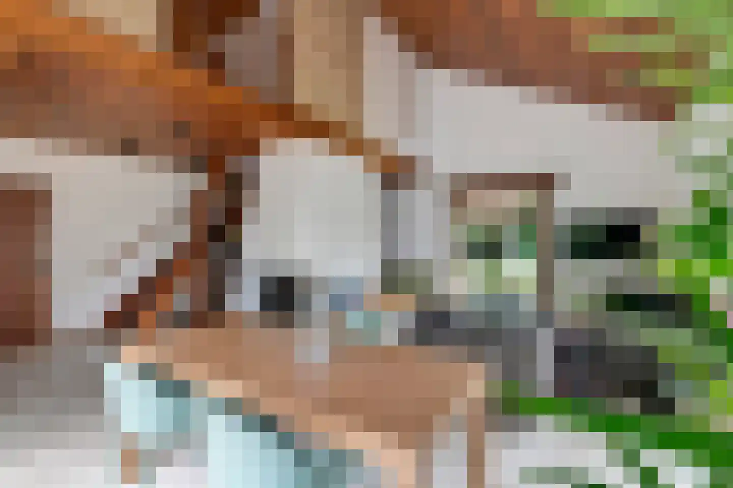 Zoetenhoek 2 b Deil thumbnail 9