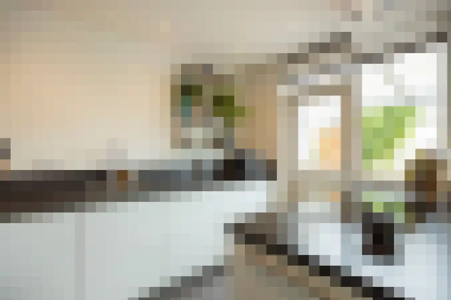 Zoetermeerstraat 20 Hoofddorp thumbnail 14