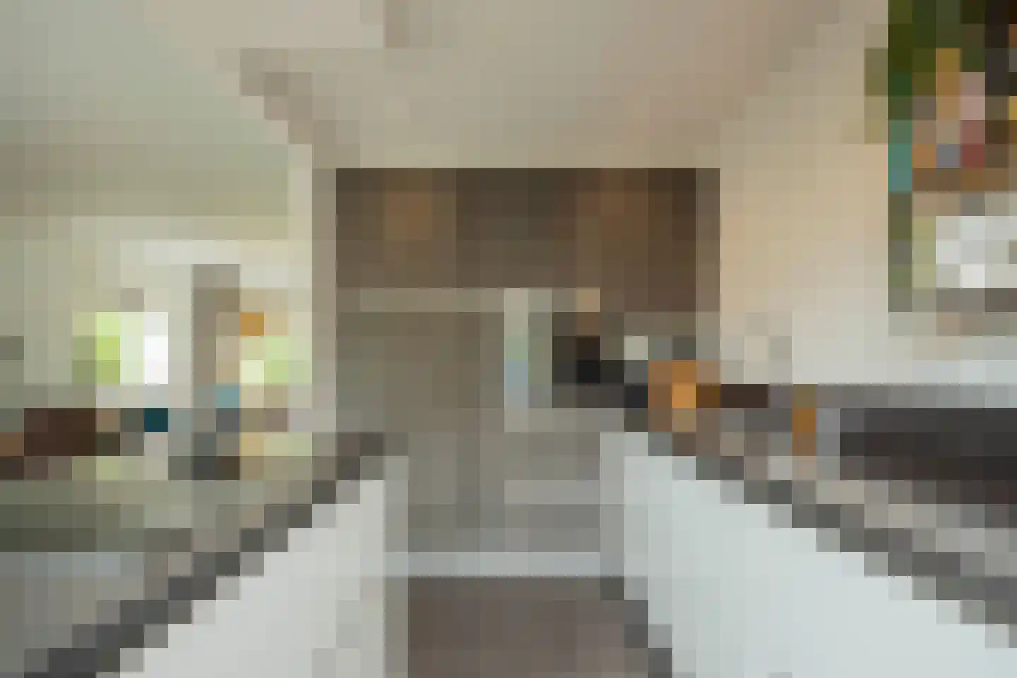 Zoetermeerstraat 20 Hoofddorp thumbnail 16