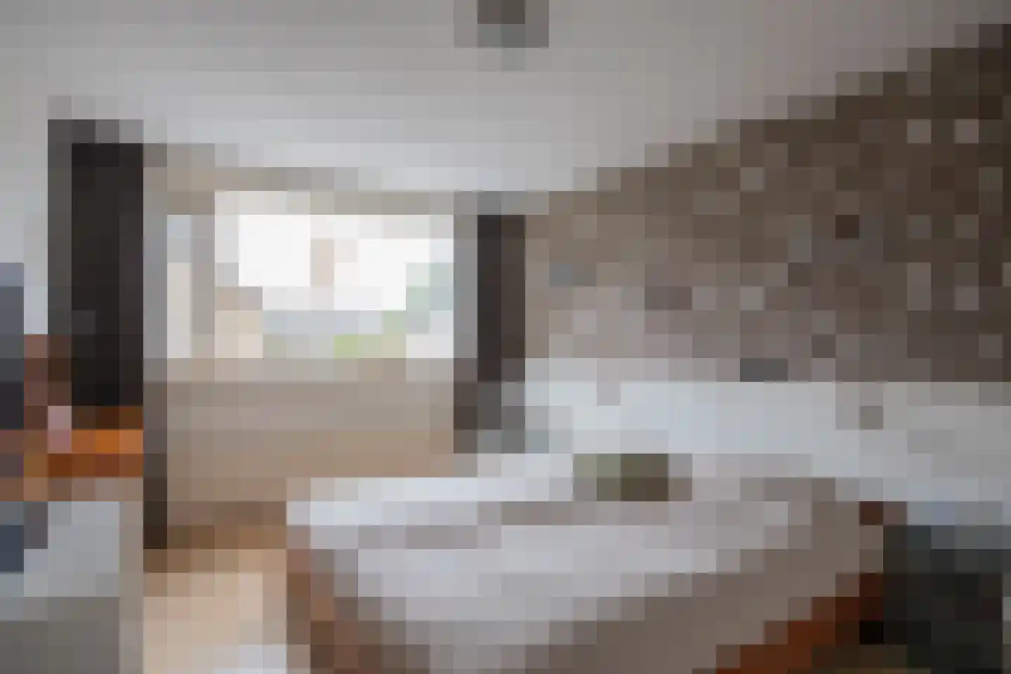 Zoetermeerstraat 20 Hoofddorp thumbnail 22