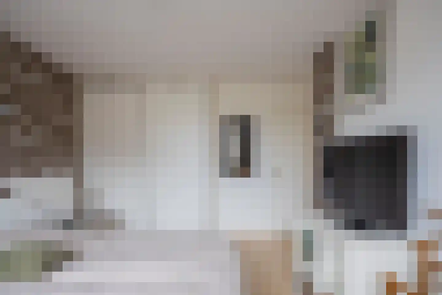 Zoetermeerstraat 20 Hoofddorp thumbnail 23