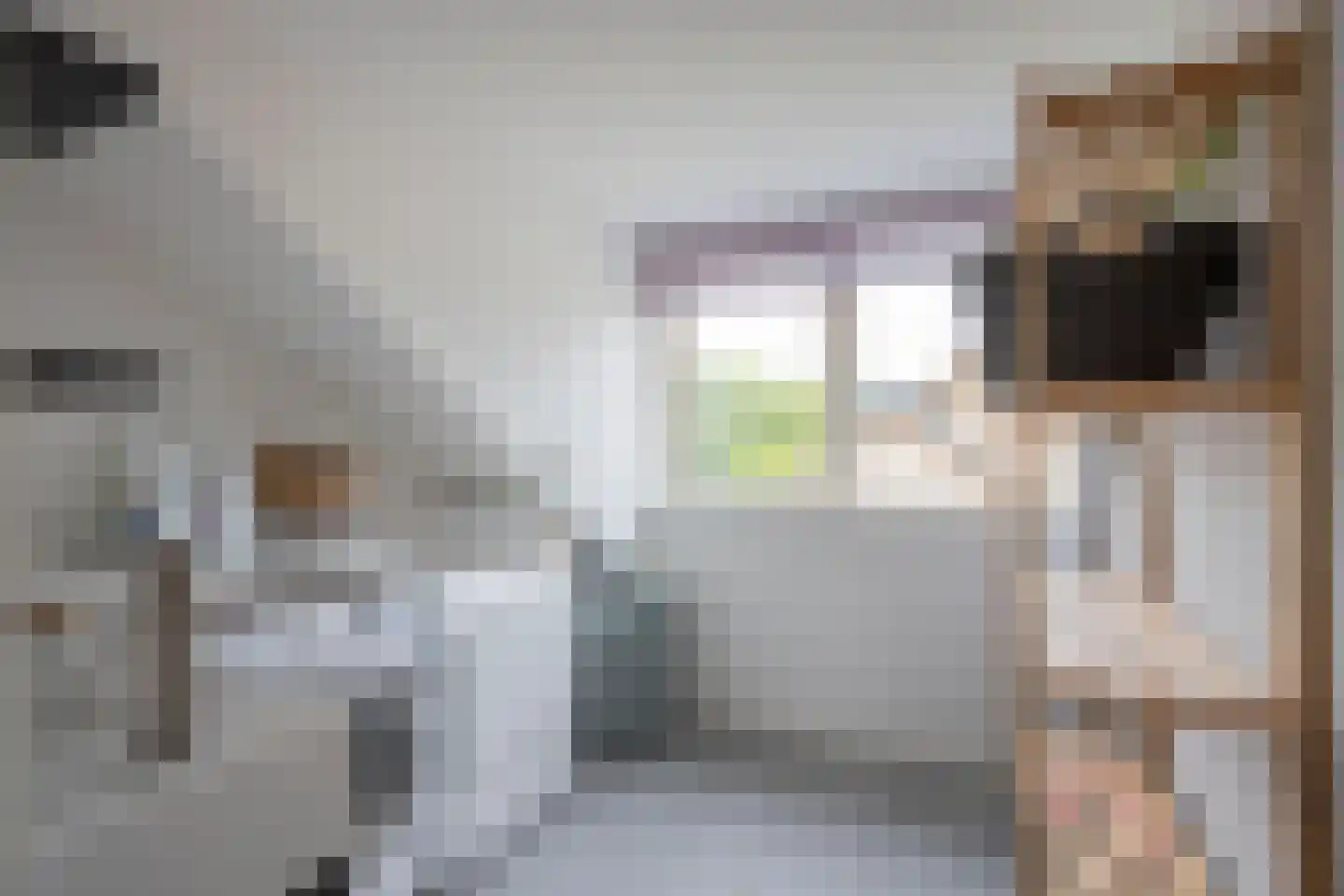 Zoetermeerstraat 20 Hoofddorp thumbnail 35