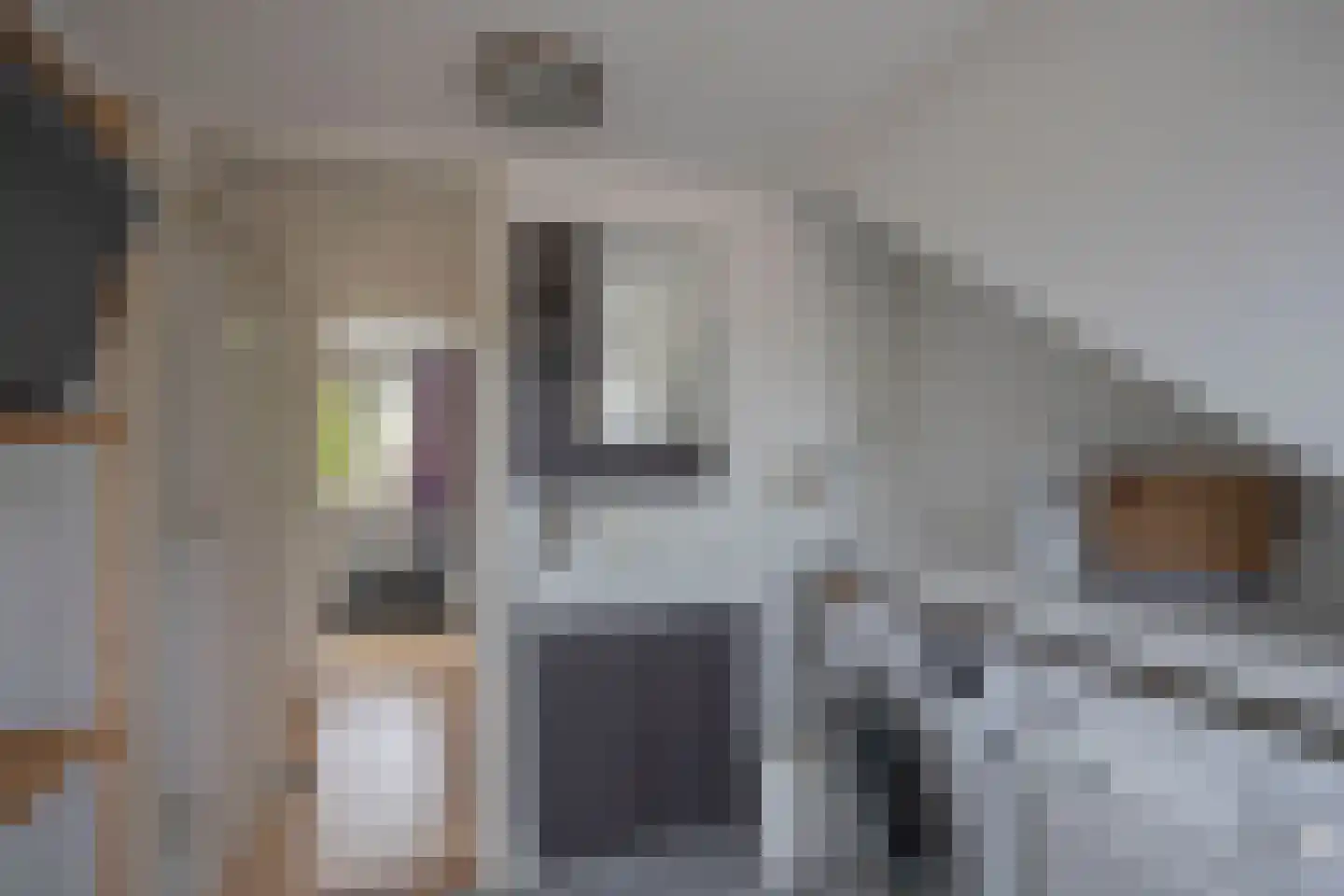 Zoetermeerstraat 20 Hoofddorp thumbnail 37