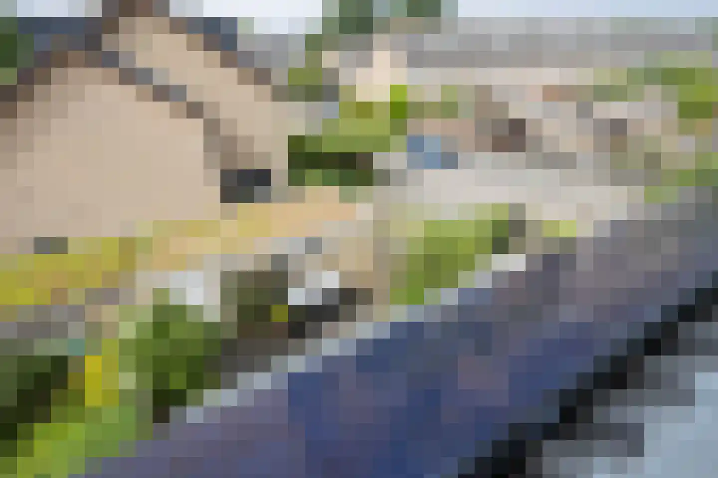 Zoetermeerstraat 20 Hoofddorp thumbnail 38