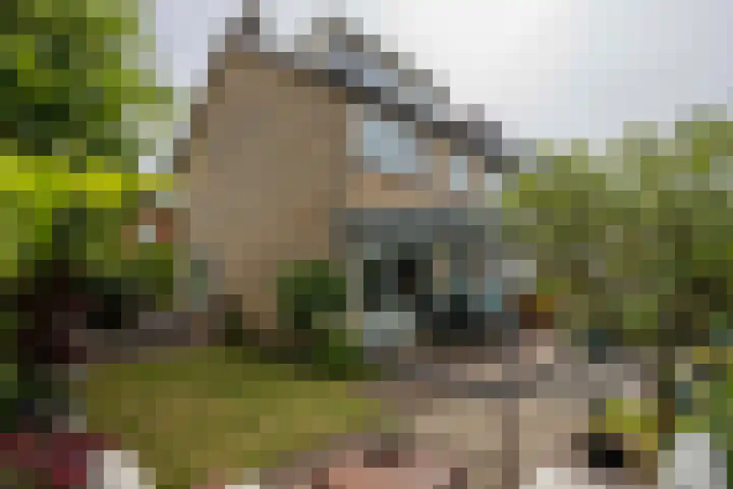 Zoetermeerstraat 20 Hoofddorp thumbnail 39