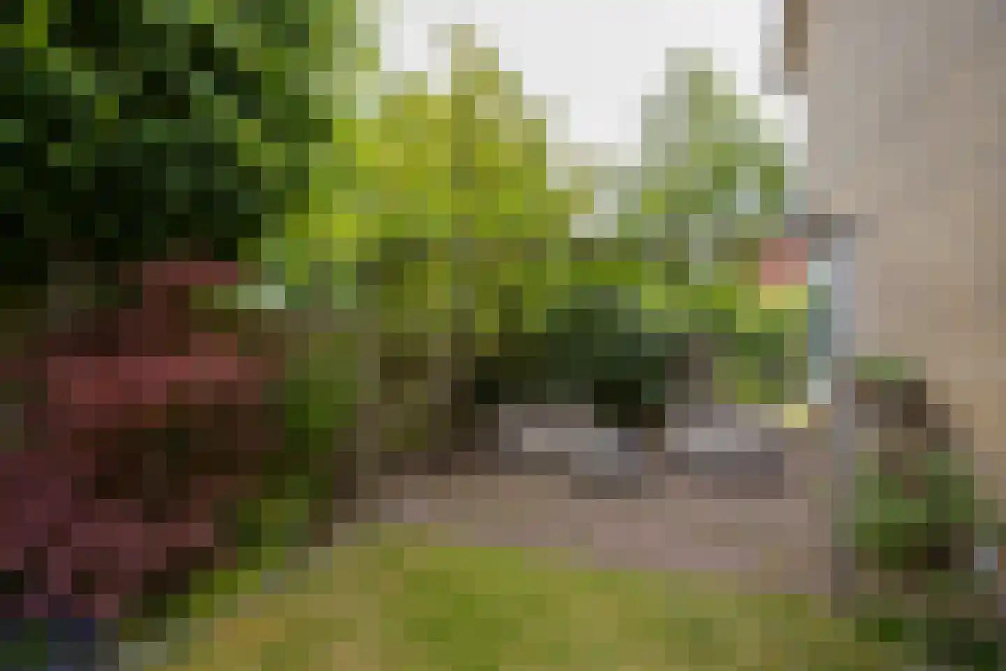 Zoetermeerstraat 20 Hoofddorp thumbnail 42