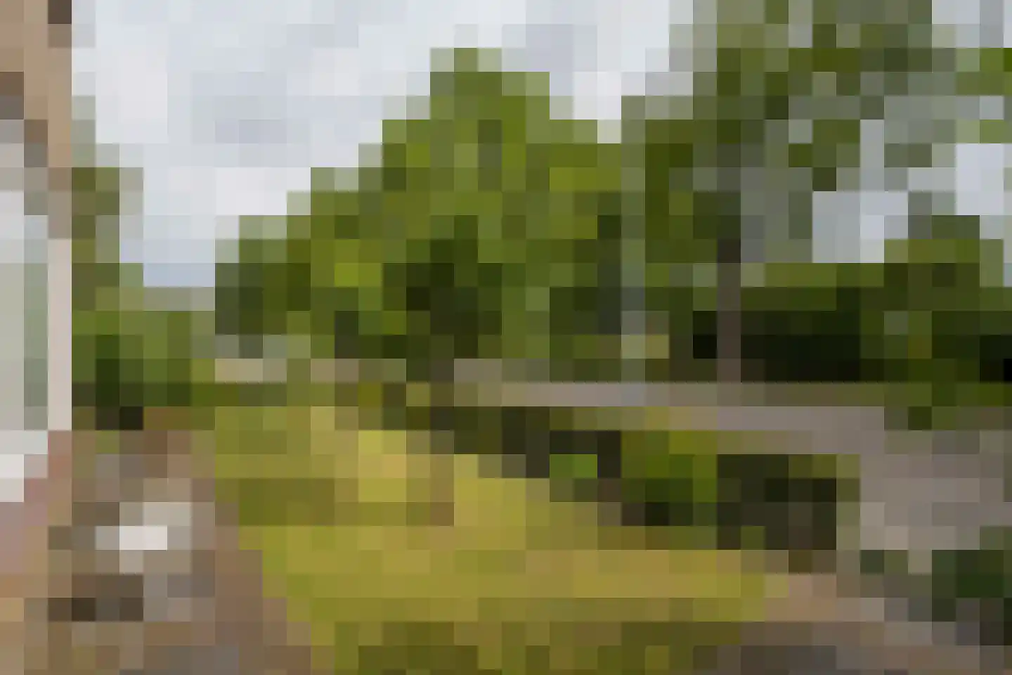Zoetermeerstraat 20 Hoofddorp thumbnail 50