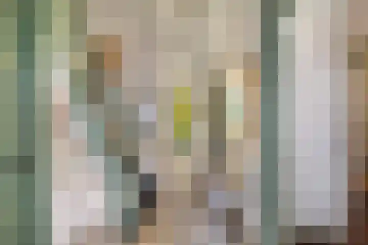 Zoeterwoudsesingel 17 Leiden thumbnail 9