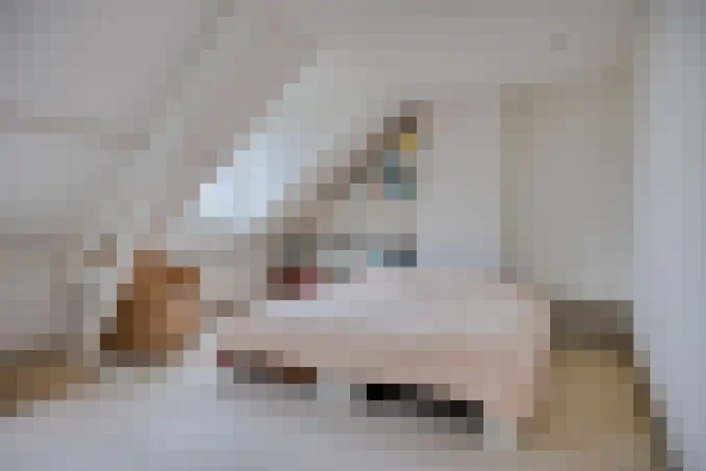 Zoeterwoudsesingel 20 Leiden thumbnail 39