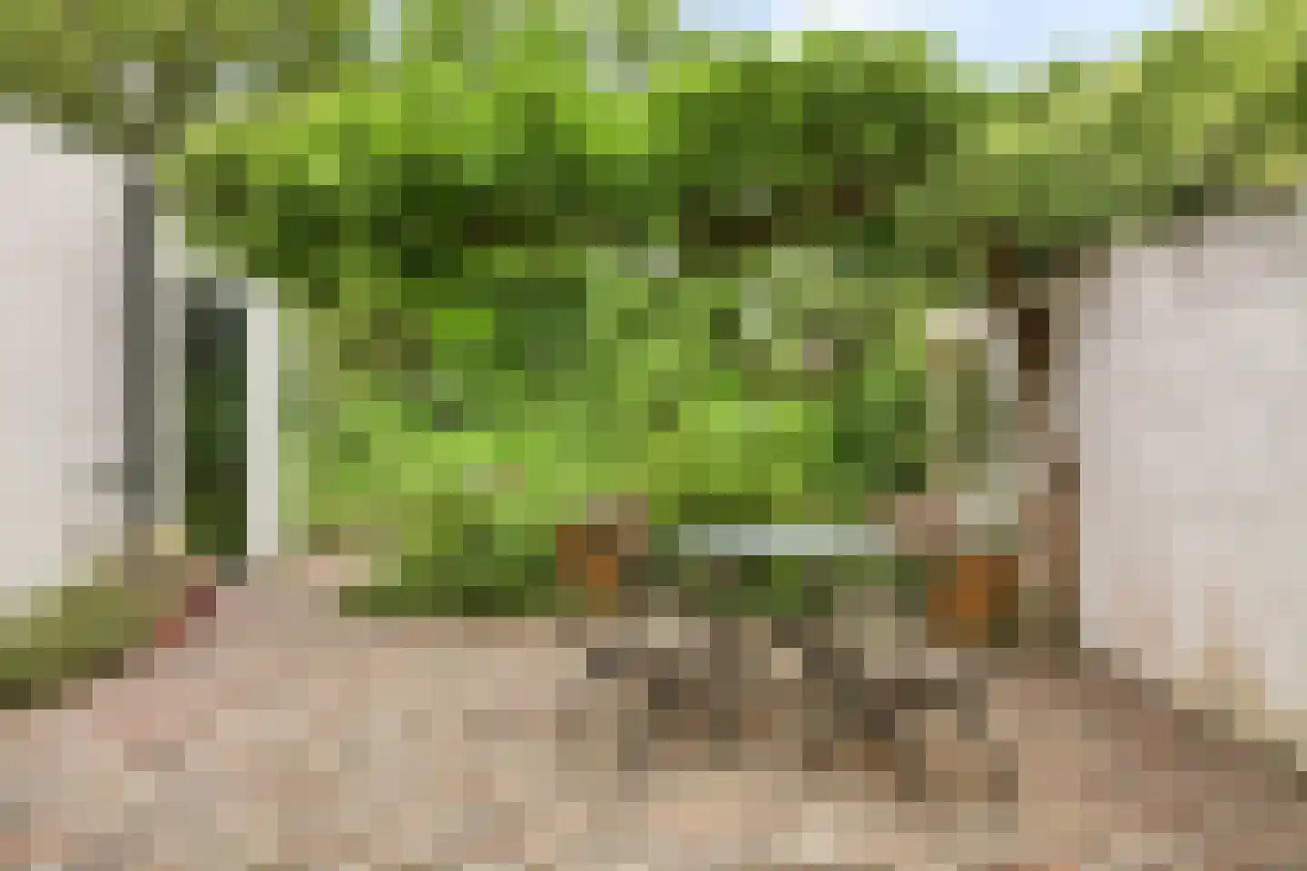 Zoeterwoudsesingel 20 Leiden thumbnail 47
