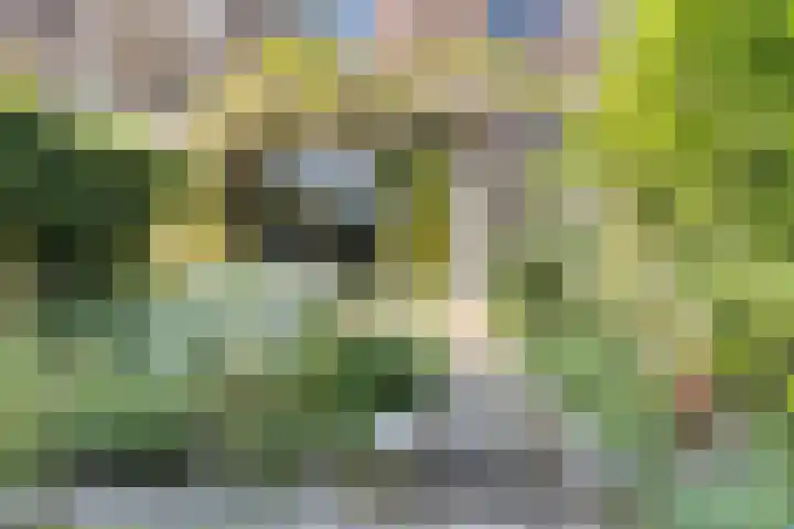 Zoeterwoudsesingel 25 Leiden thumbnail 18