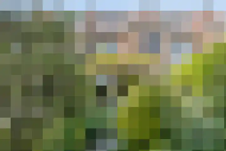 Zoeterwoudsesingel 25 Leiden thumbnail 19
