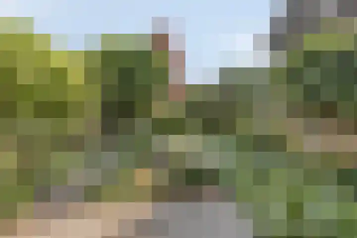 Zoeterwoudsesingel 25 Leiden thumbnail 39