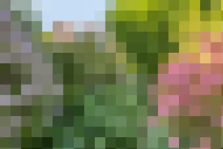 Zoeterwoudsesingel 25 Leiden thumbnail 43