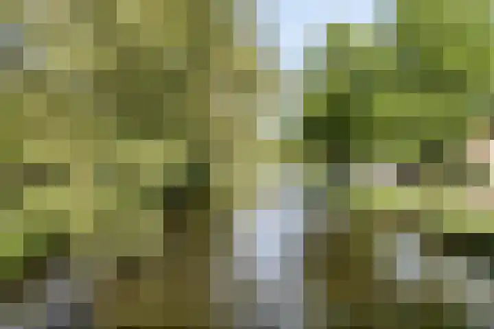 Zoeterwoudsesingel 25 Leiden thumbnail 47
