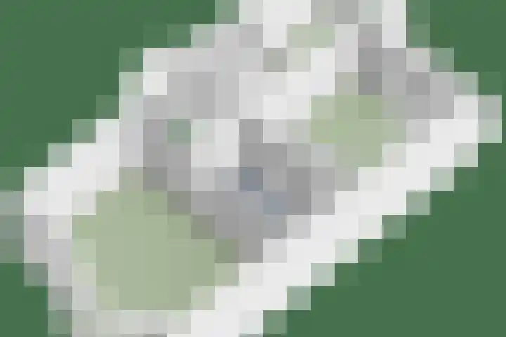 Zoeterwoudsesingel 25 Leiden thumbnail 64