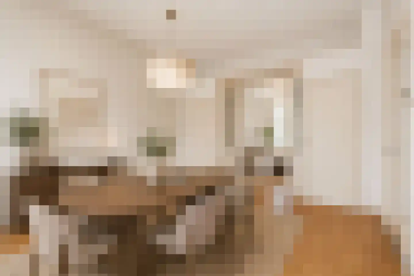 Zoeterwoudsesingel 4 Leiden thumbnail 17