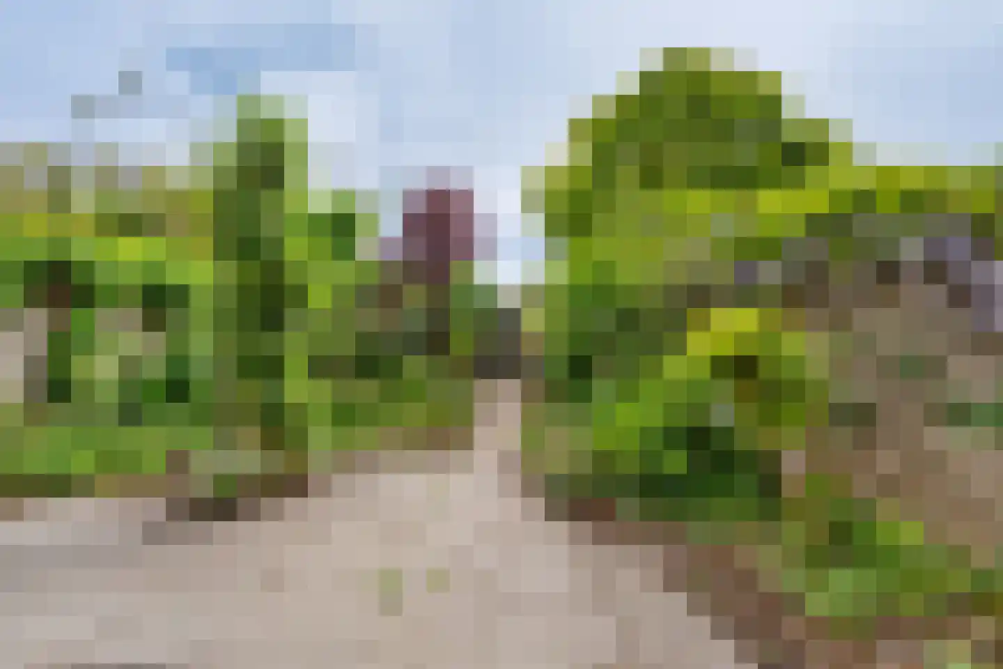 Zoeterwoudsesingel 4 Leiden thumbnail 22