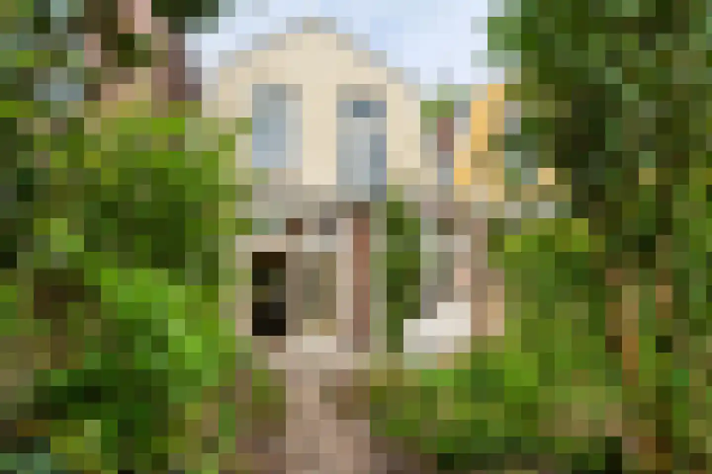 Zoeterwoudsesingel 4 Leiden thumbnail 24