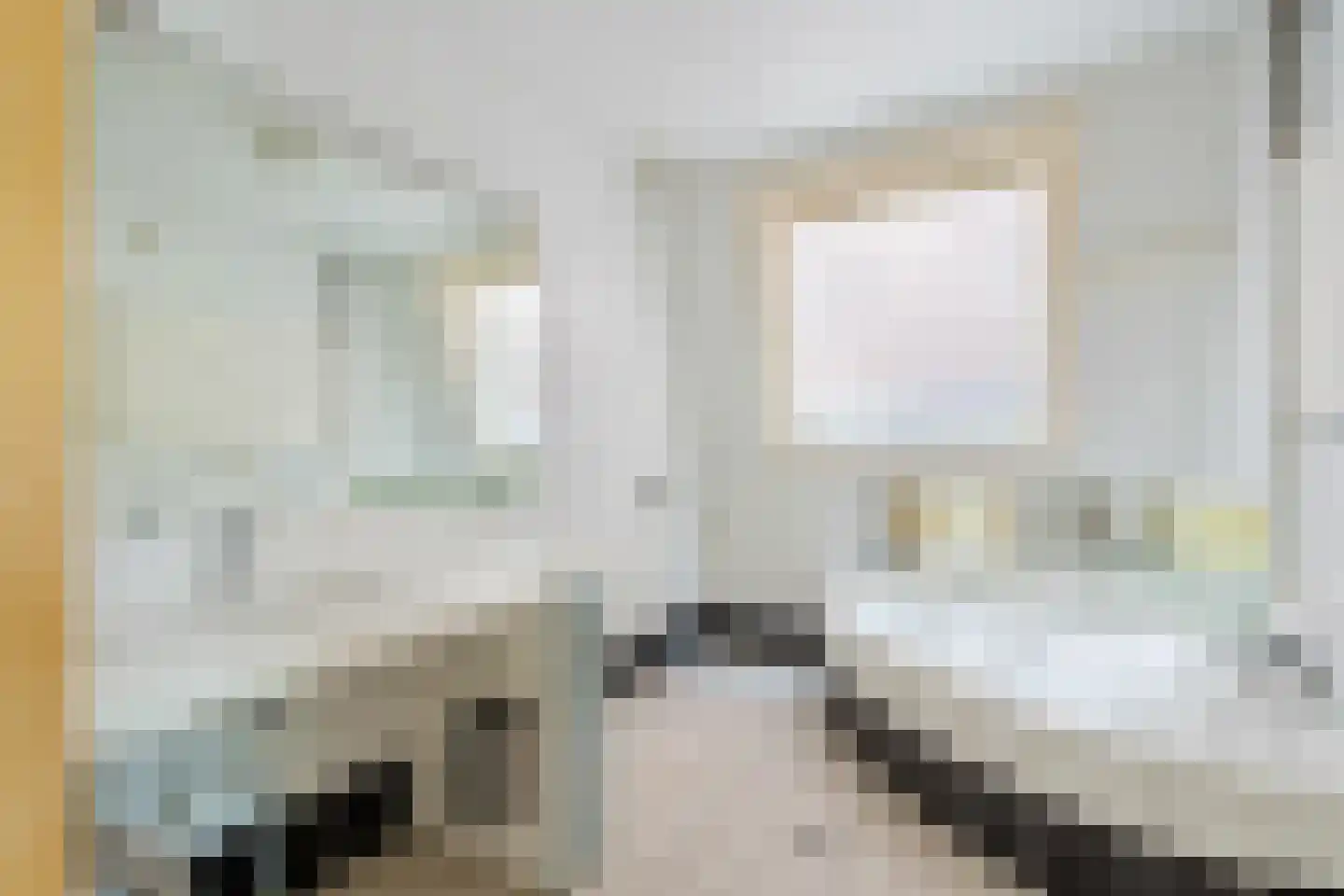 Zoeterwoudsesingel 4 Leiden thumbnail 33