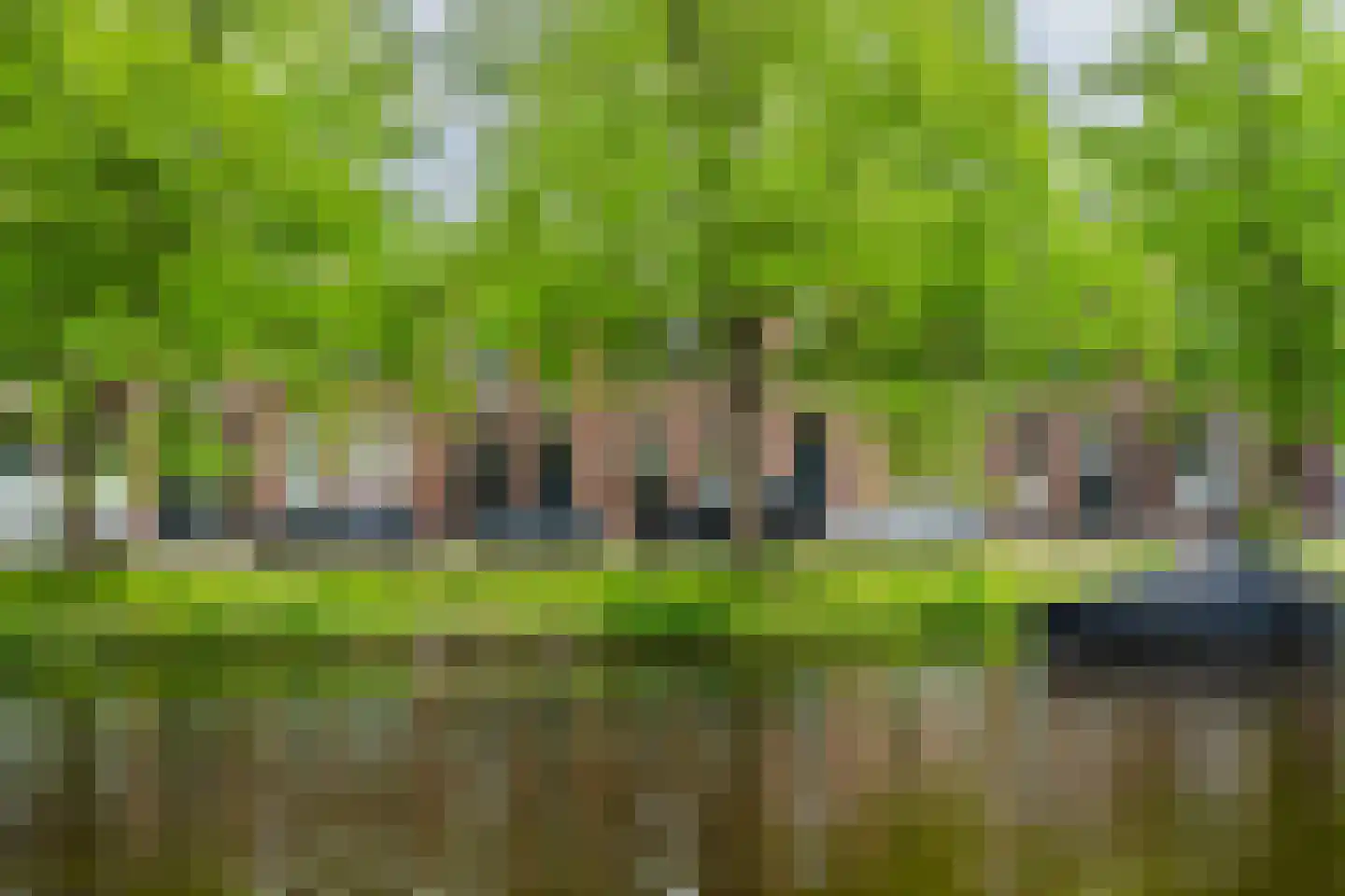 Zoeterwoudsesingel 4 Leiden thumbnail 4