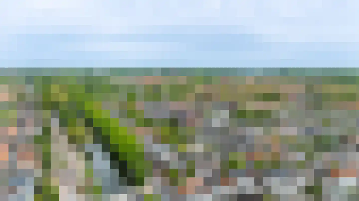 Zoeterwoudsesingel 4 Leiden thumbnail 41