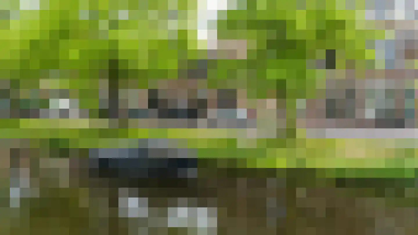 Zoeterwoudsesingel 4 Leiden thumbnail 45