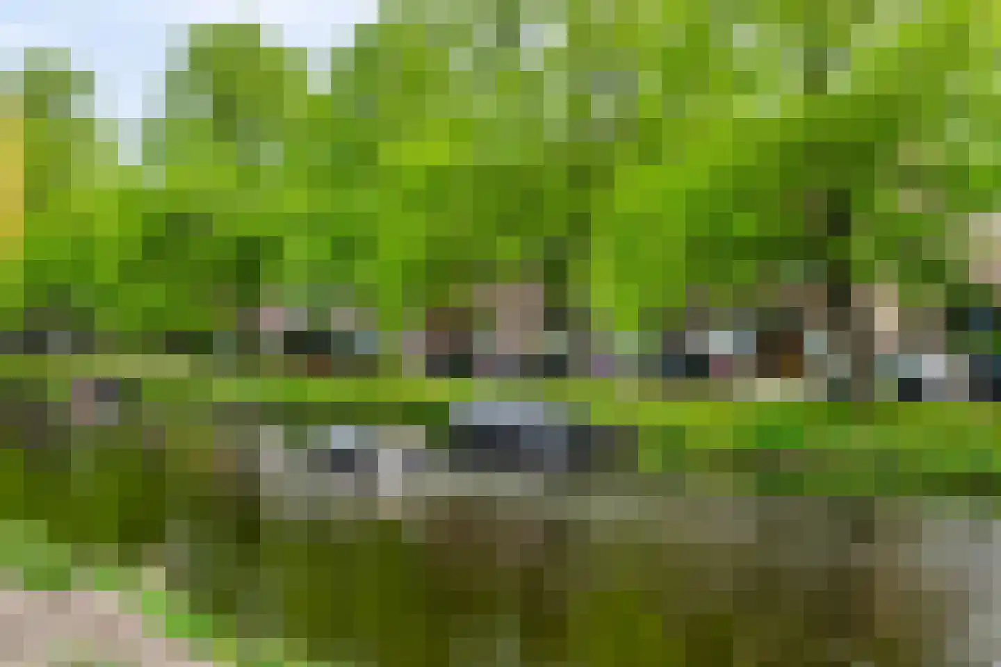 Zoeterwoudsesingel 4 Leiden thumbnail 47