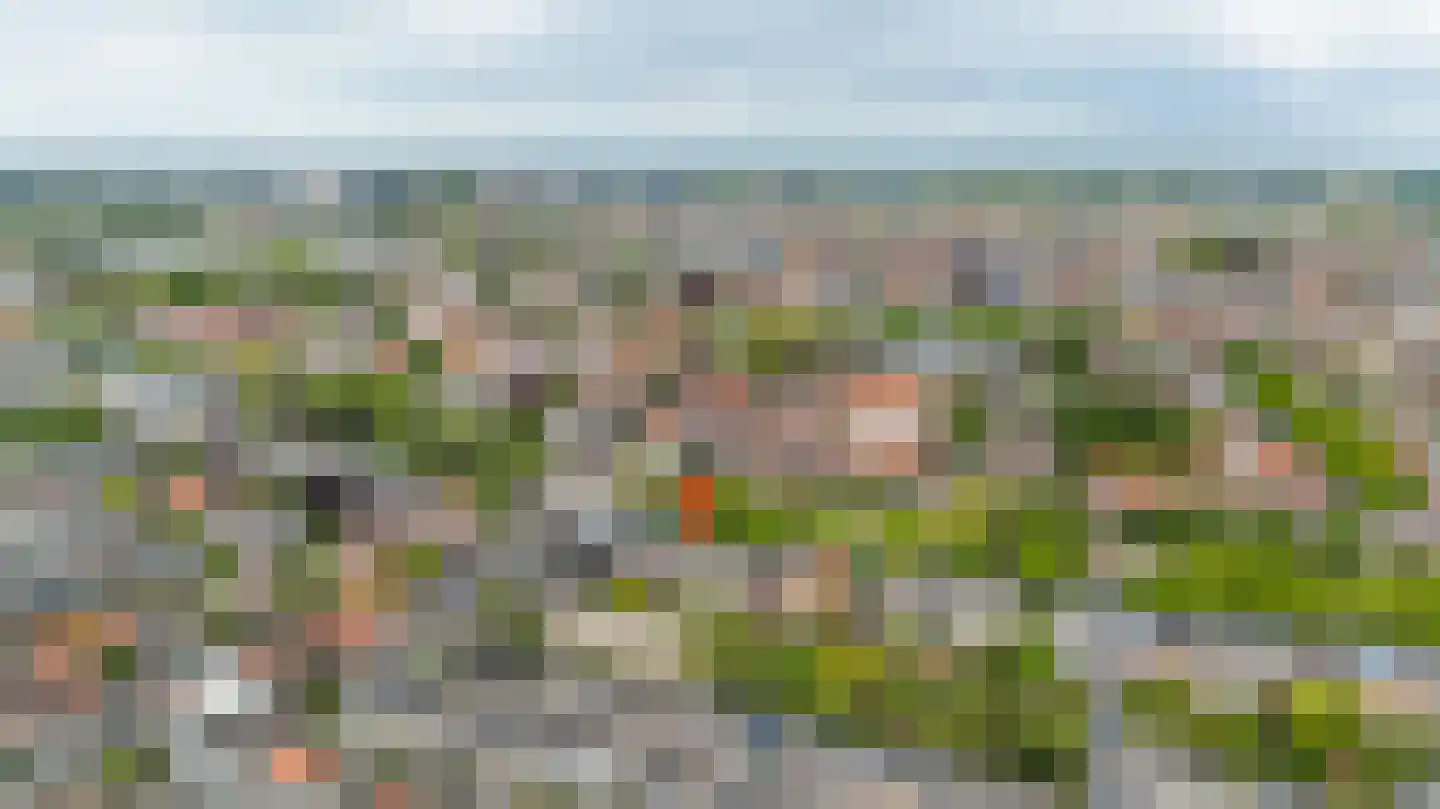Zoeterwoudsesingel 4 Leiden thumbnail 5