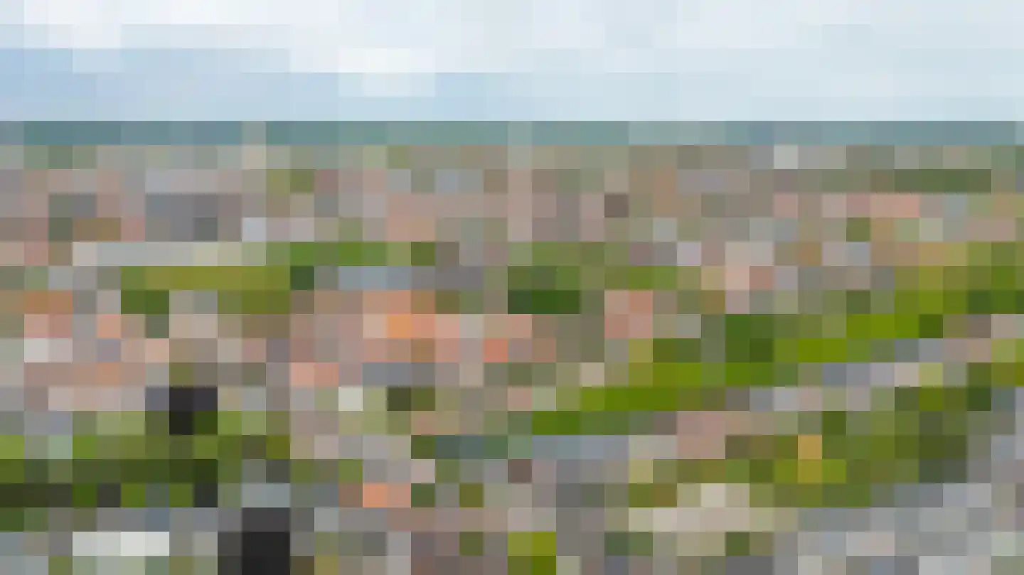 Zoeterwoudsesingel 4 Leiden thumbnail 6