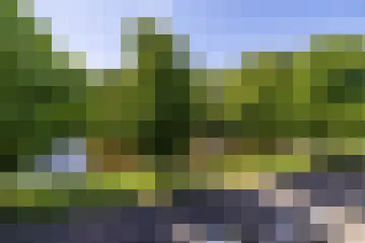 Zoeterwoudsesingel 83 Leiden thumbnail 48