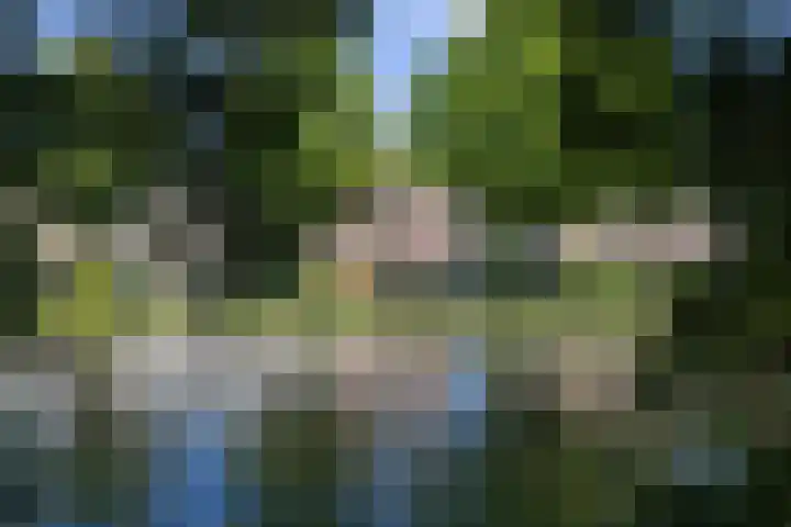 Zoeterwoudsesingel 83 Leiden thumbnail 59