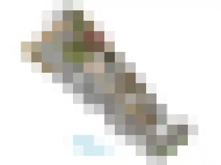 Zoeterwoudsesingel 83 Leiden thumbnail 67