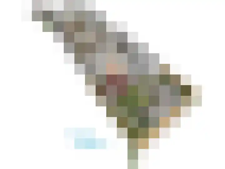 Zoeterwoudsesingel 83 Leiden thumbnail 69