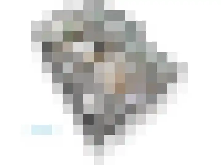 Zoeterwoudsesingel 83 Leiden thumbnail 77