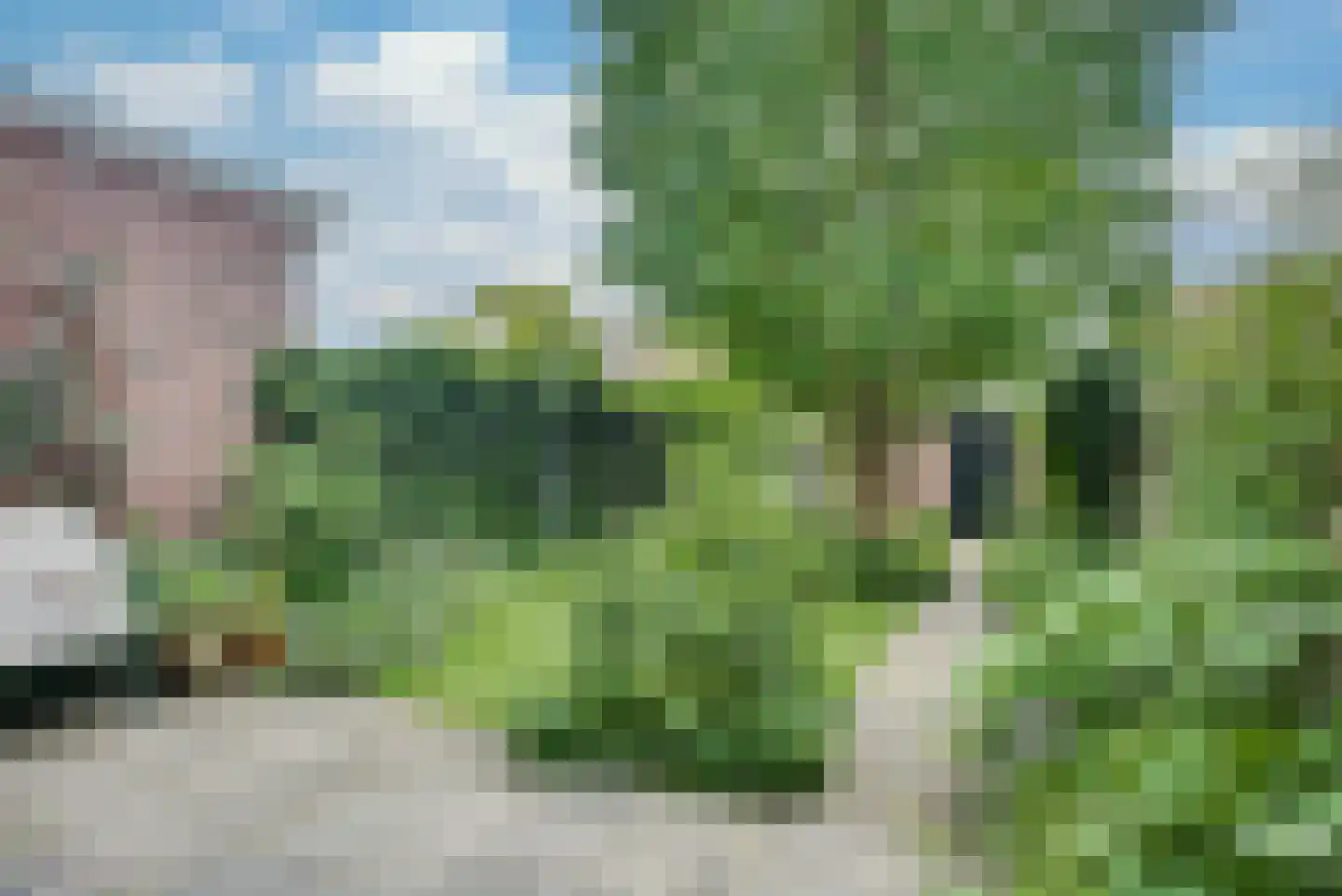 Zoeterwoudseweg 136 Leiden thumbnail 27