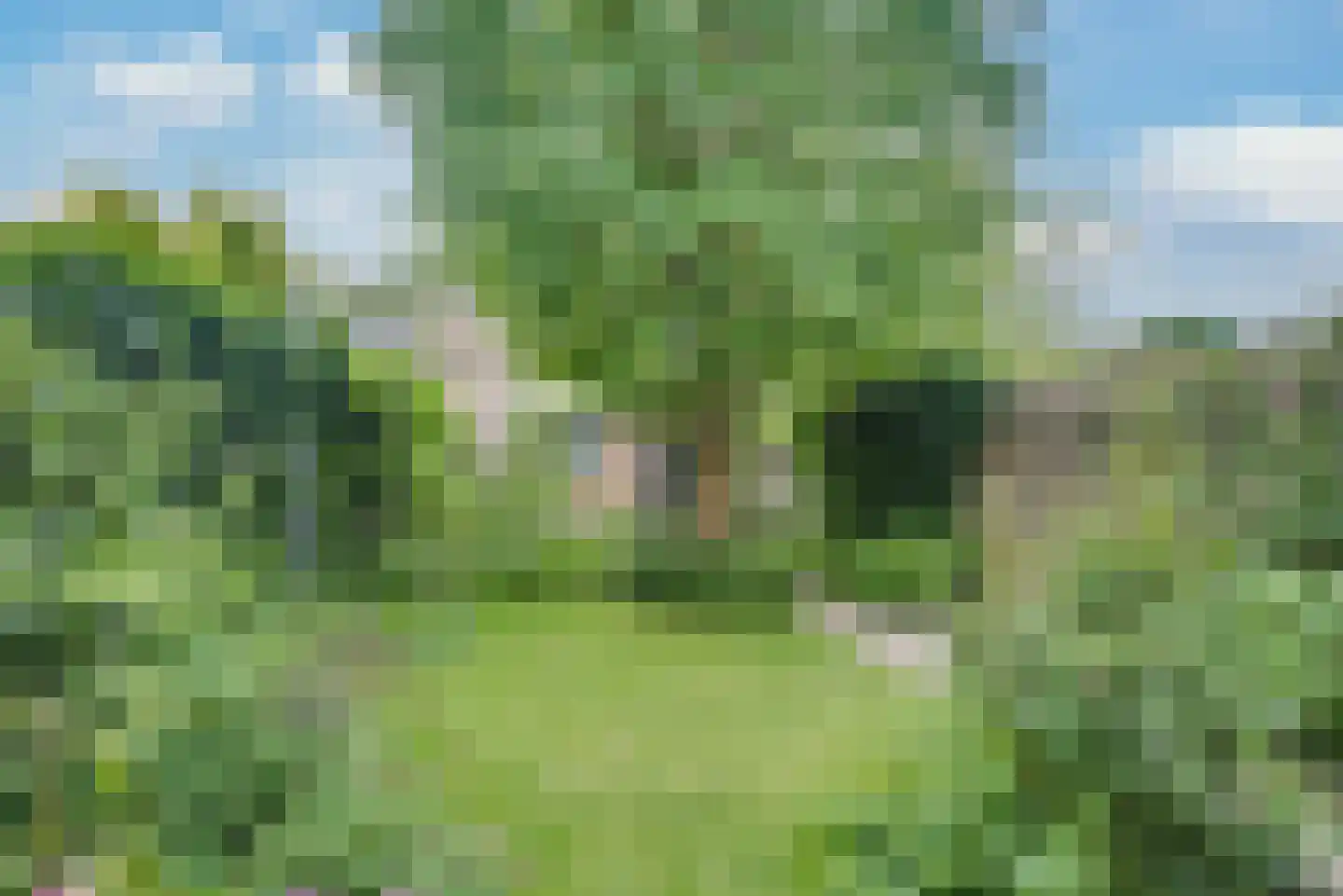 Zoeterwoudseweg 136 Leiden thumbnail 28