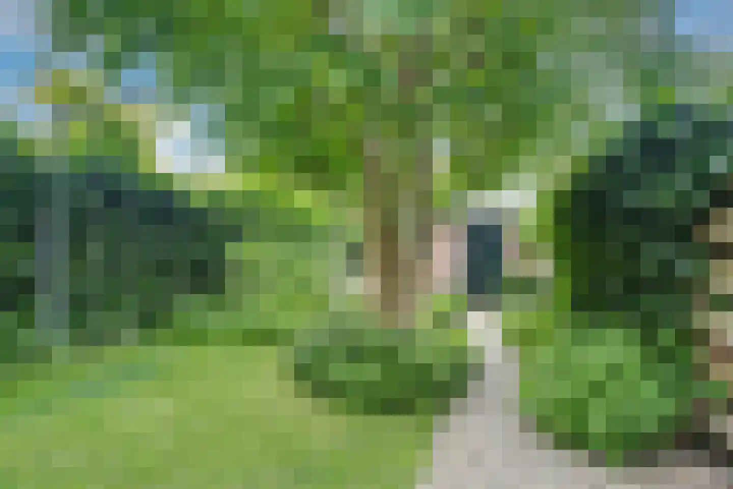 Zoeterwoudseweg 136 Leiden thumbnail 29